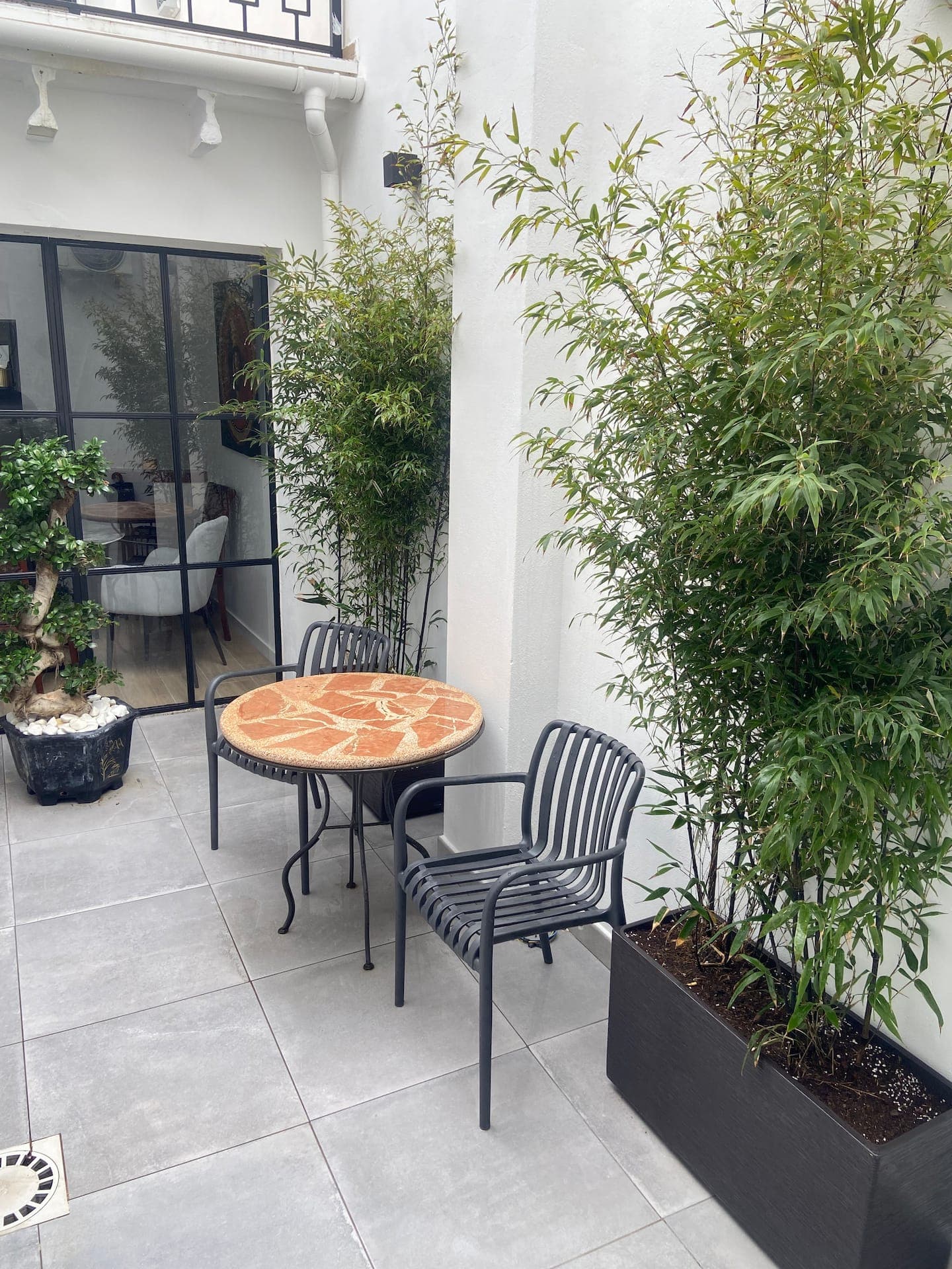 Patio: courtyard with plants